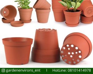 Read more about the article How to Choose the Best Planter/Pot for Your Flowers and Plants