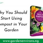 5 Reasons Why You Should Start Using Compost in Your Garden