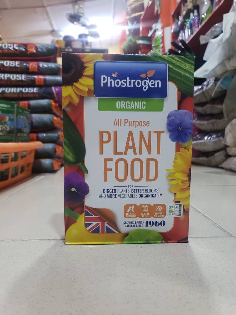 Phostrogen all purpose plant food