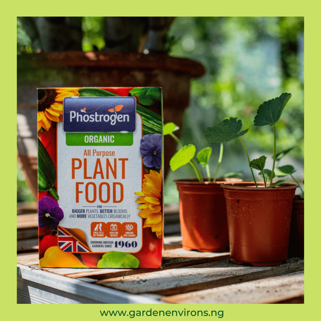 5 Benefits of using Phostrogen Plant Food