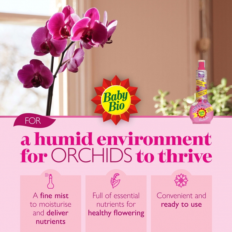 Baby Bio Orchid Feed and Mist
