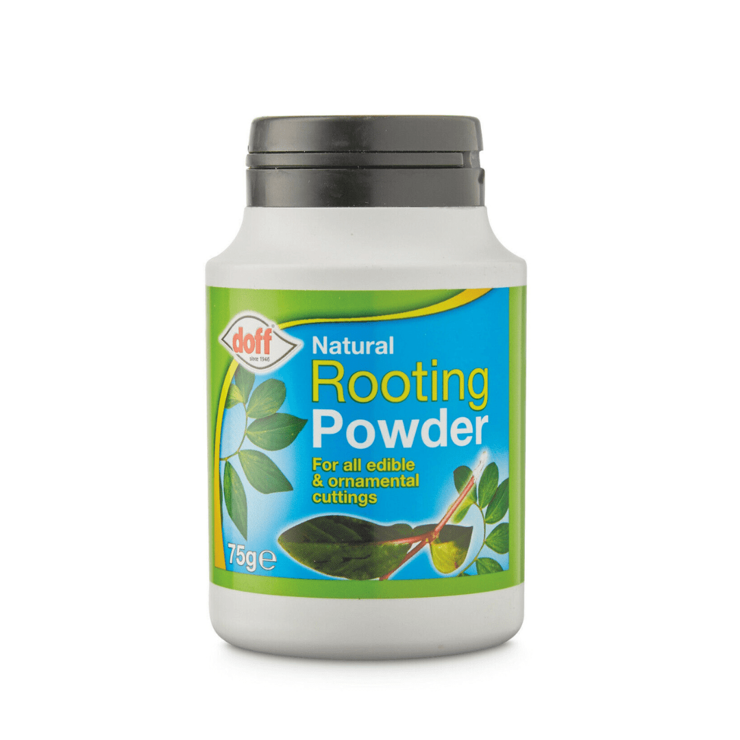 Doff Natural Rooting powder