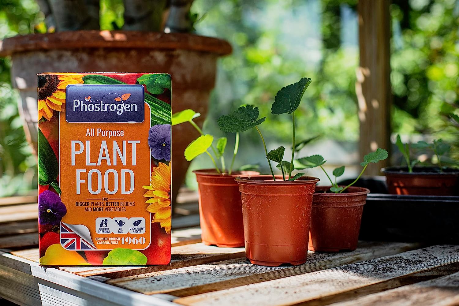 Phostrogen All purpose plant food 
