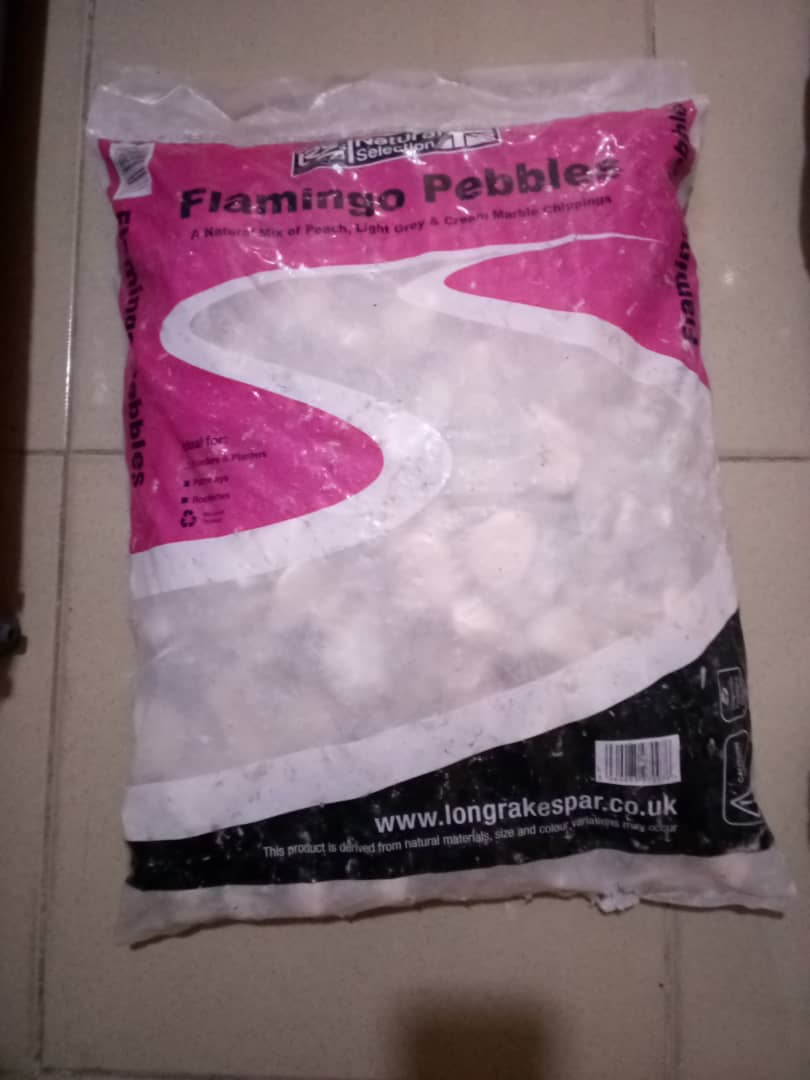 Flamingo Pebbles