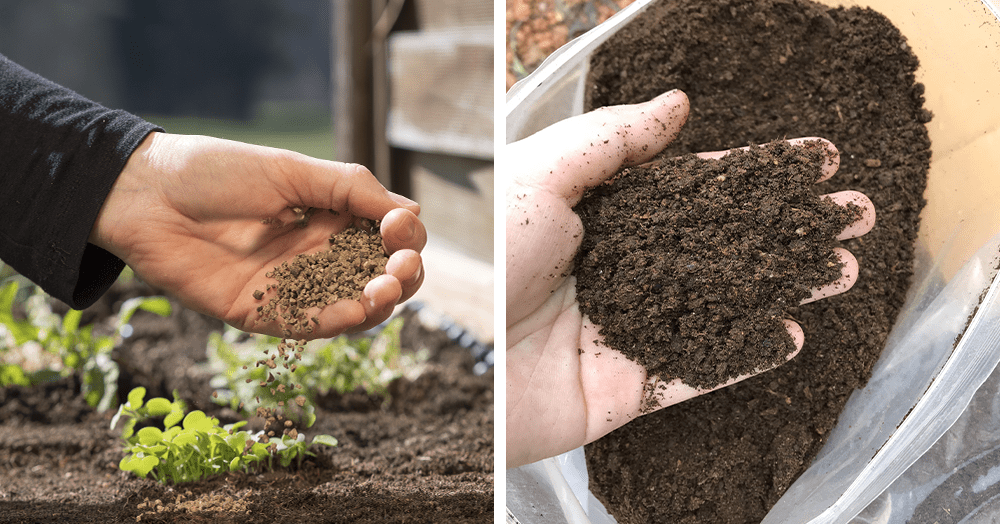 Organic And Synthetic Fertilizers: A Comprehensive Guide To Pros and Cons