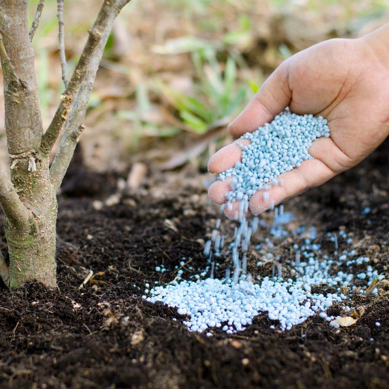 Organic And Synthetic Fertilizers: A Comprehensive Guide To Pros and Cons