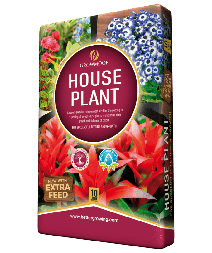 Growmoor Houseplant