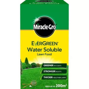 Miracle-Gro Evergreen Water Soluble Lawn Food